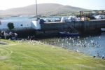 PICTURES/Ring of Kerry - Valentia Island/t_DSC00297.JPG
